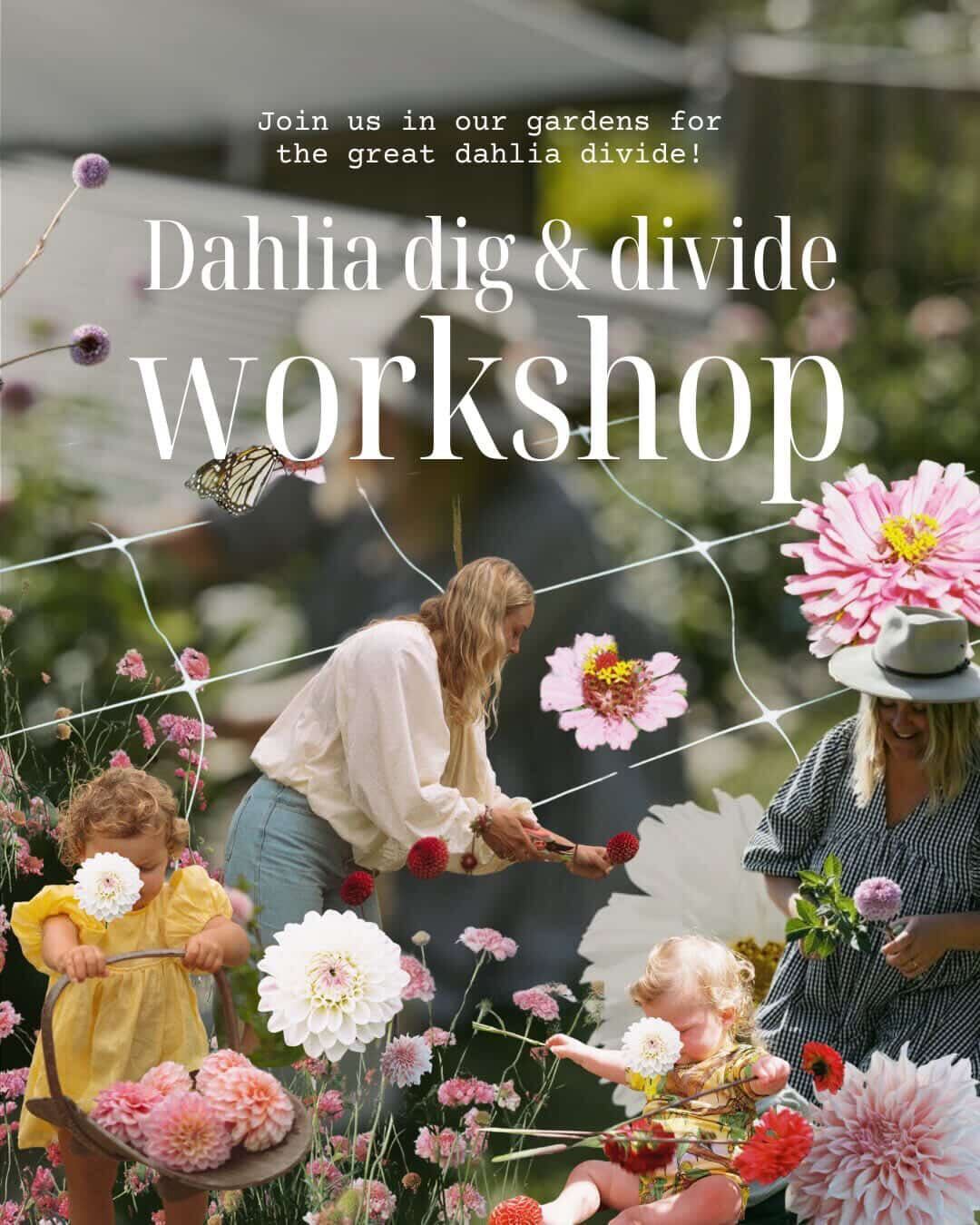 Dahlia Winter Workshop