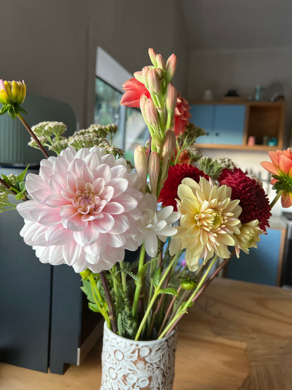 Dahlia Tuber - Silver Years