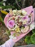 Dahlia Tuber - Pink Impact