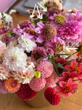 Dahlia Tuber - Fenna Baaij